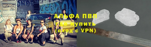 шишки Кодинск