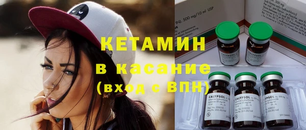 шишки Кодинск