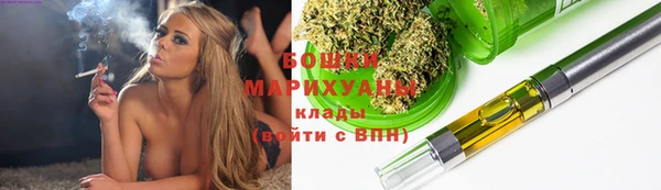 шишки Кодинск