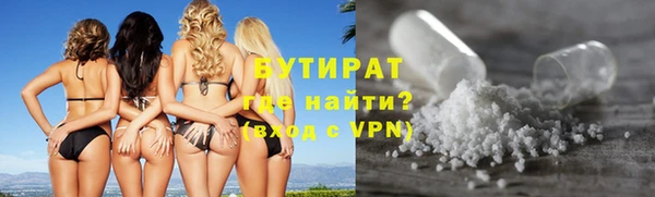 шишки Кодинск