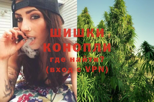 шишки Кодинск