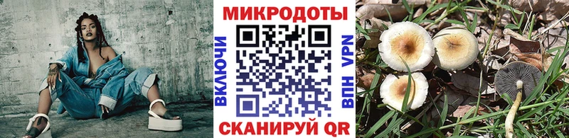 Галлюциногенные грибы Psilocybine cubensis Называевск